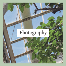 green plants across a white background